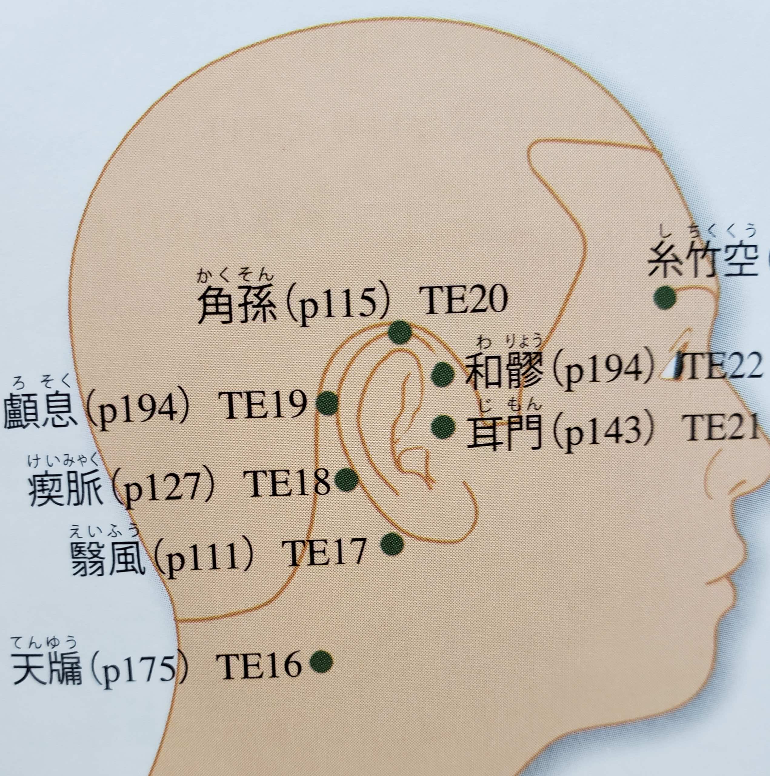 耳鳴りに効くツボとは 東大和市リハビリデイサービス コスモス